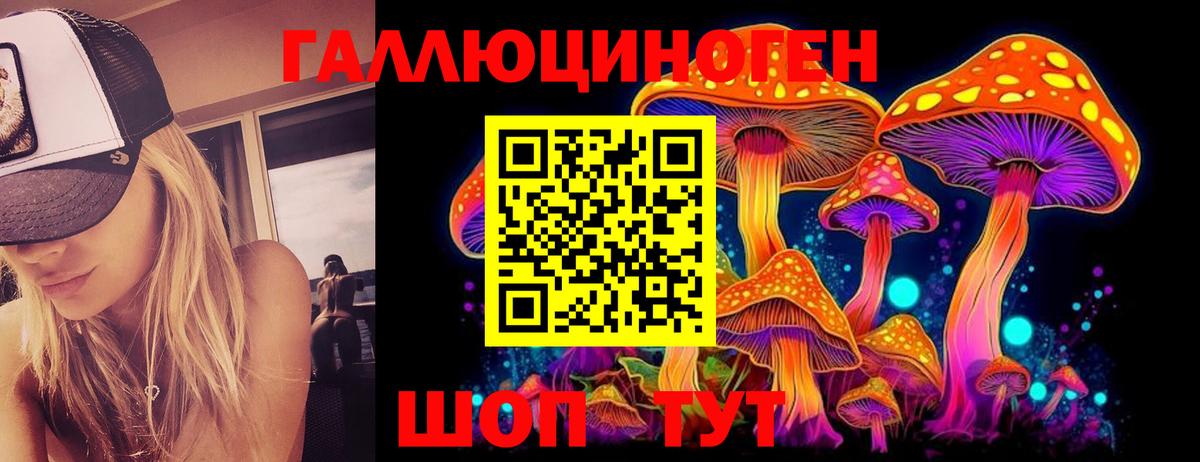 Псилоцибиновые грибы ЛСД Черняховск