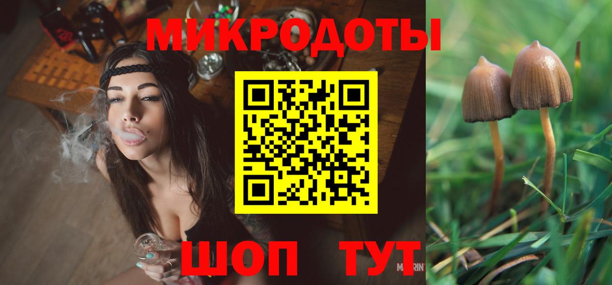 Черняховск  купить закладку  Вход с VPN  Галлюциногенные грибы Psilocybine cubensis 